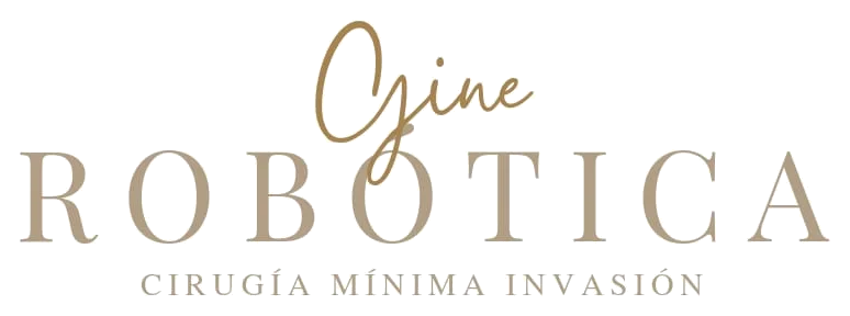 Gine Robótica